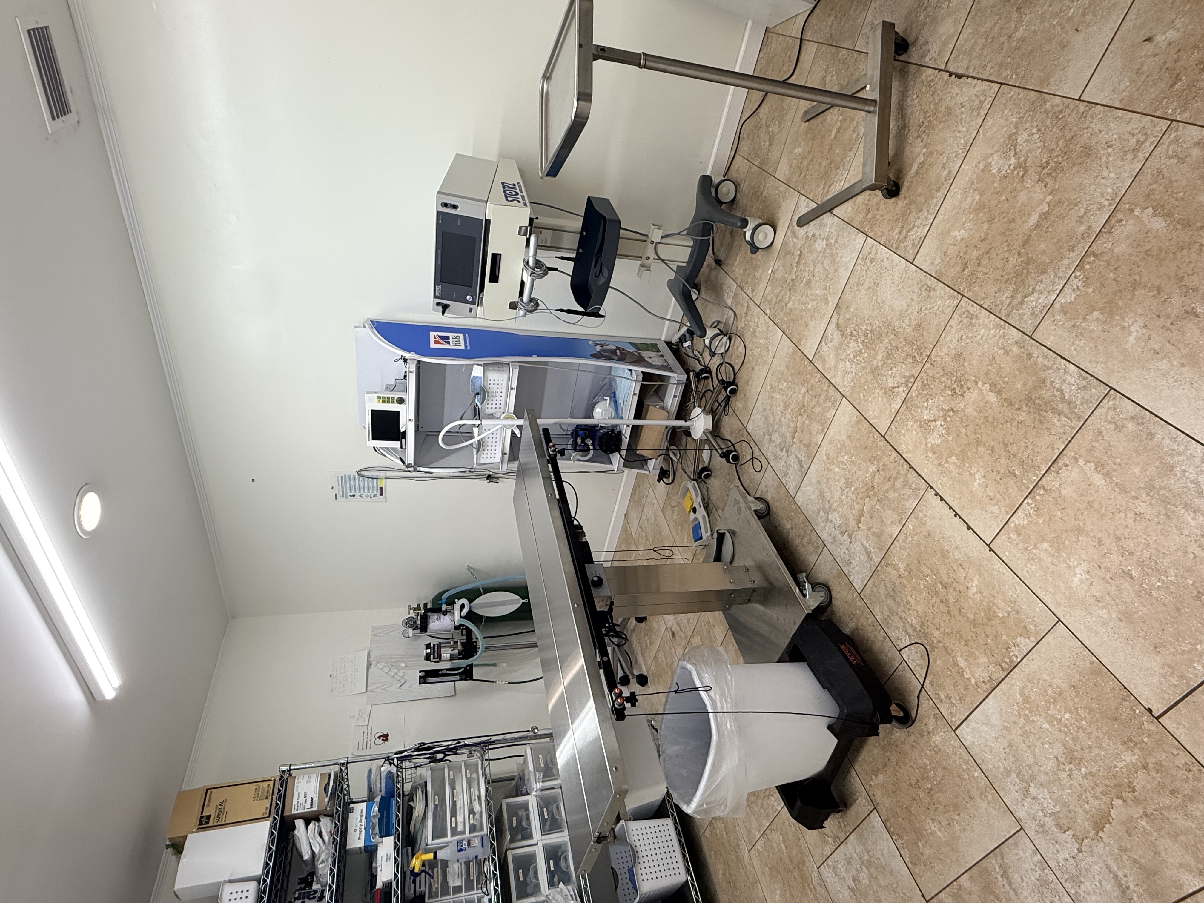 Pet Surgery